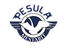 PesulaMestarit