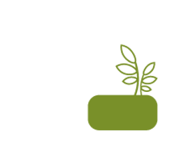 Pihasuunnittelu Kevät